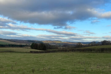 A view from the cottage